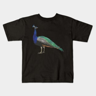 Crayon Peacock Kids T-Shirt